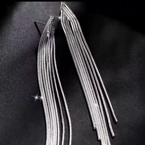 Long Silver Tassel Earrings - Picture 3 of 3